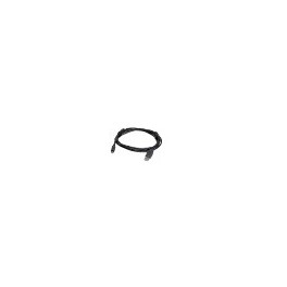 Accessoires - Câble USB Std A Mini-B - FLIR